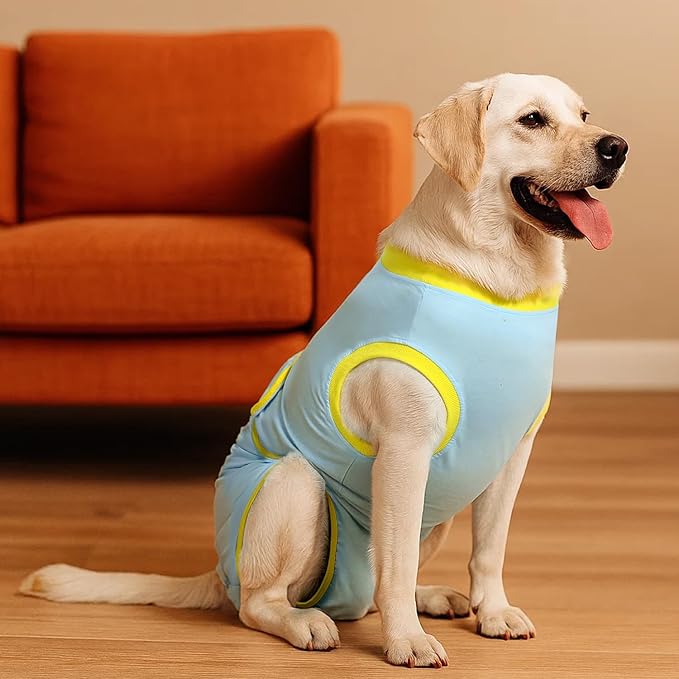 Recovery Suit for Dogs Cats After Surgery, E-Collar & Cone Alternative Surgical Suit, Prevent Licking Dog Onesies Pet Surgery Recovery Suit Soft Dog Bodysuit, Blue Yellow, L