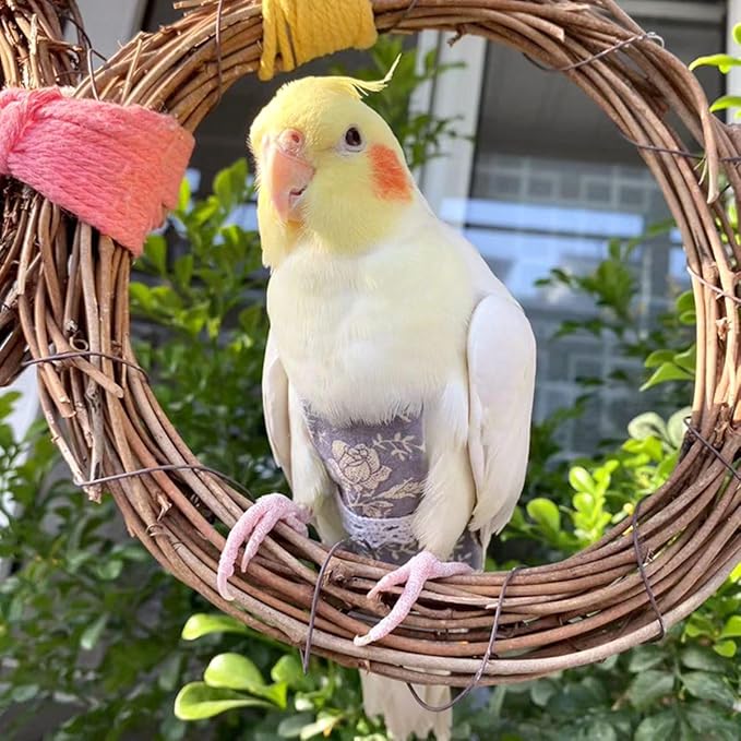Bird Flight Suits Diapers, Parrot Flight Suits Diapers for Quaker Parakeets Cockatiels Conures Macaw African Grey, Bird Diaper, Parrot Clothes (Green B,XS)