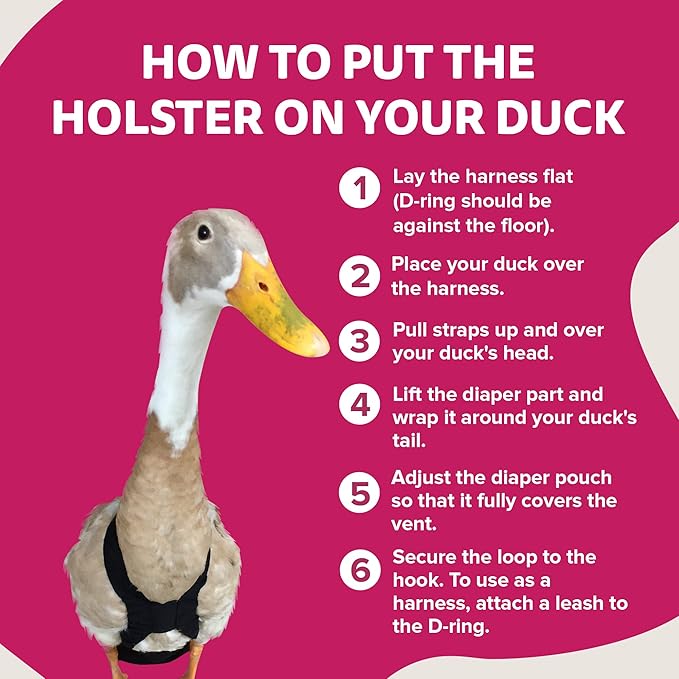 Hen Holster Starter Kit - Wrap-Around Runner Duck Diaper w/ Removable Liner & Fixed Tab - Durable, Secure Fit, Easy-to-Wear - Essential Duck Supplies for Real Ducks, Made in USA - Pink