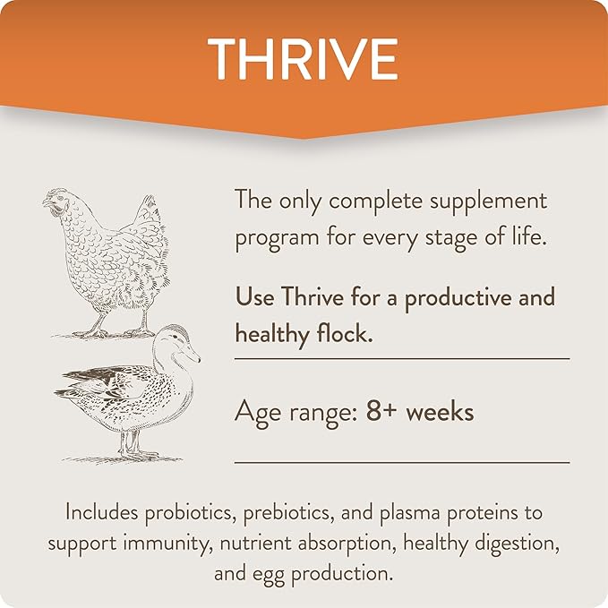FlockLeader Thrive, Daily Probiotic & Prebiotic Poultry Supplement for Chickens 8+ Weeks Old, 8 oz