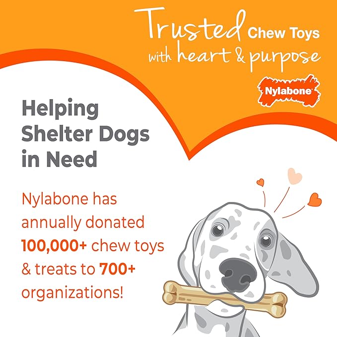 Nylabone New Puppy Starter Kit, 2 Chew Toys and 1 Natural Treat for Puppies, Puppy Teething Toy, Bacon & Chicken Flavor, Small Dogs - Up to 25 lbs., 3 Pack