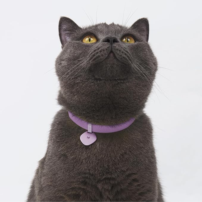 Engraved Pet ID Tag - Personalized Name Tag Engraved Cat Collar Charms, Aluminum Alloy Cat Customized Name Tag for Kitten Small Large Cats (Star-Monet Purple)