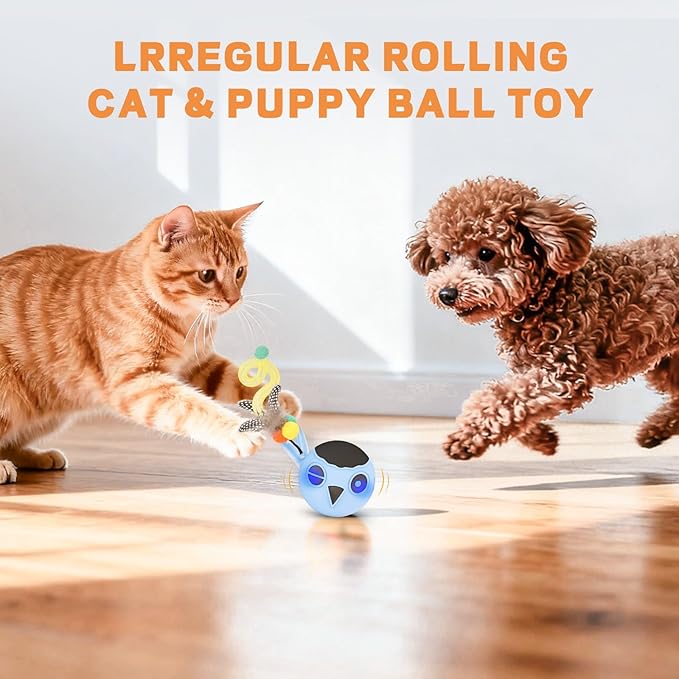 Cat Toys, Interactive Cat Toys for Indoor Cats, USB Rechargeable Electronic Smart Exercise Kitten Toy, Motion Chirping Activated Moving Ball (Blue)