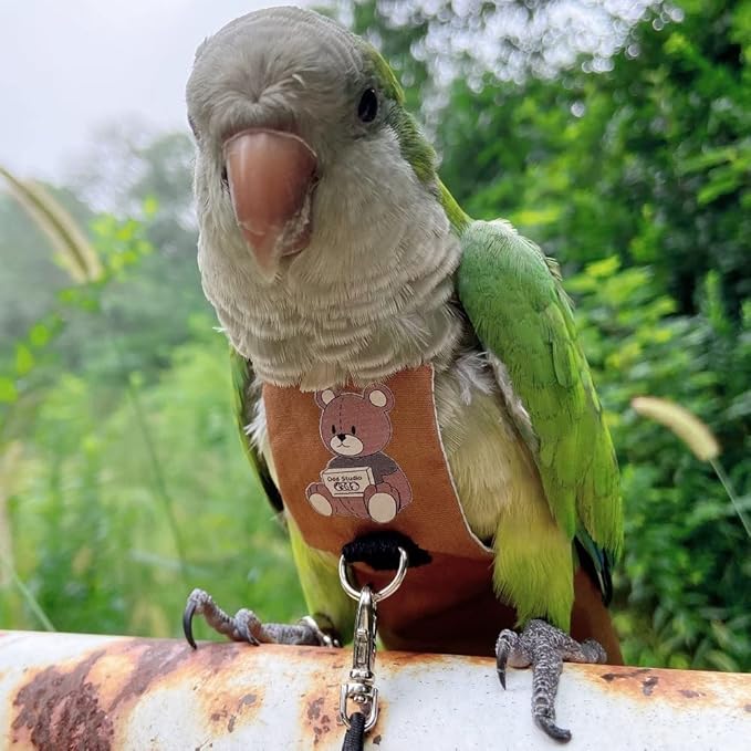 Bird Diaper Harness Flight Suit Clothes, Parrot Flight Suit with Leash for Parrot, Bird Flying Clothes with Rope and Handle for Outdoor Activities Training (Caique,with Leash)