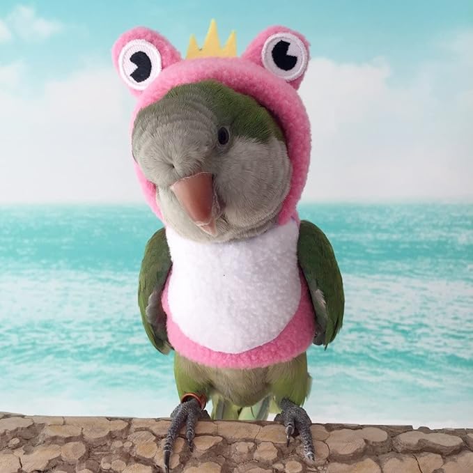 Bird Costume Diaper Flight Suit Frog Shape Hoodie Clothes Cosplay Photo Prop for Parrots Parakeet Cockatiel Sun Conure, Small Animals Apparel (Pink Without Diaper, Medium), Green
