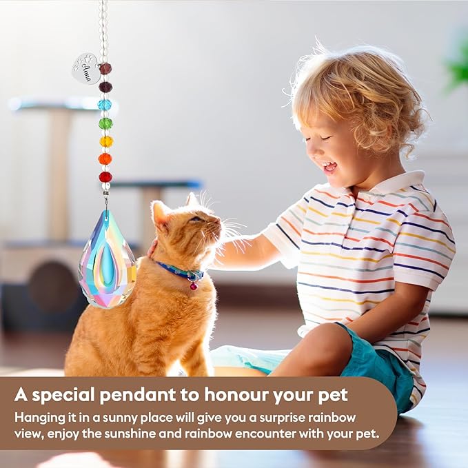 free-space Rainbow Bridge Pets Personalized Crystal Light Catcher Cat/Dog Keepsake Pet Loss Sympathy Gift (Water Drop 2)