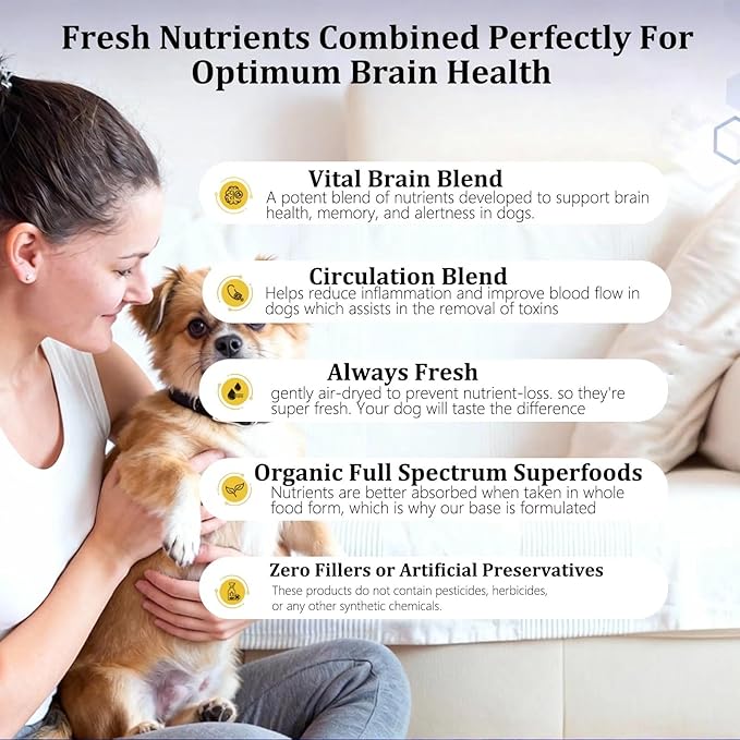 Furever Active Pet Neuro Chewing, Formulated with Organic. Support Brain Health in Dogs, Memory and Alertness, Overall Cognitive Performance, Brain Cell Repair, 60 Chews(1pc)