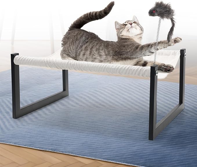 Elevated Cat Bed with 360° View - Rust-Proof Metal Frame, Removable Machine Washable Mattress (Thin), Includes Cat Toy - Easy Assembly