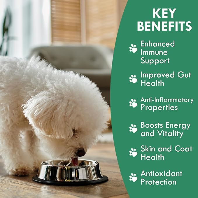 Holistic Bin Canine Super Immune Blend | Nutrient-Rich Dog Food Toppers, Plant-Based Supplements for Pets | Greens, Mushrooms and Probiotic Wellness Blend | Ideal for Aging Dogs | Immune Powder (100g)