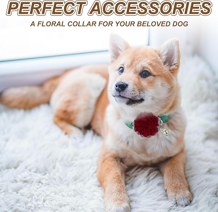 Dog Collar Flowers, Pet Flower Charms Soft Chiffon Cat Collar Bow Tie Floral Grooming Supplies, Intended for Dog