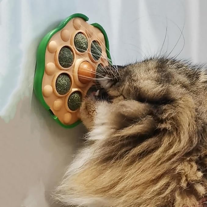 Interactive Cat Catnip Toy Cats Sugar Treat Lick Ball Sticky Wall Enrichment Balls for Cats Healthy