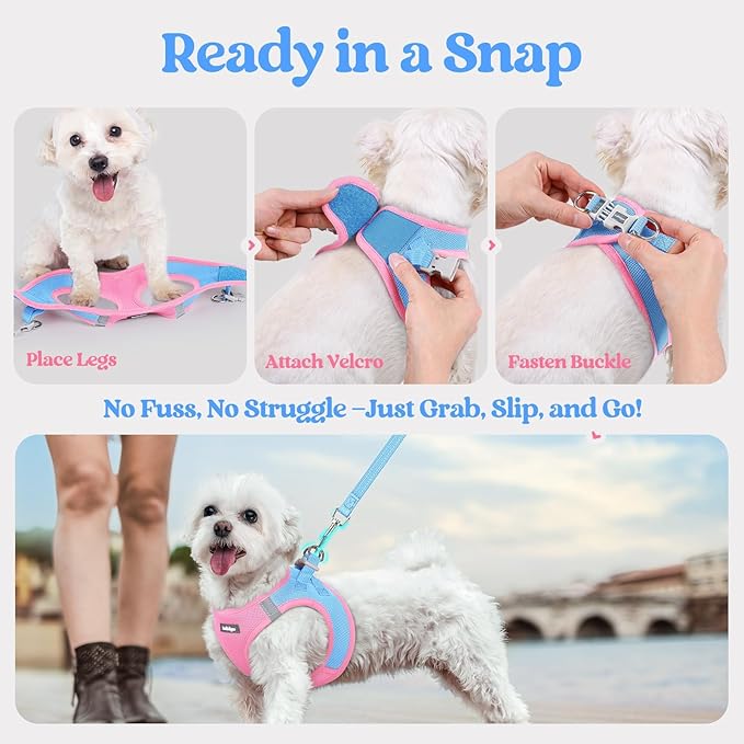 rabbitgoo Dog Harness Small Medium Sized and Leash Set, Step in Soft Light Puppy Vest, Breathable Mesh Pet Harness, Reflective for Safe Easy Walking, Blue & Light Pink XL