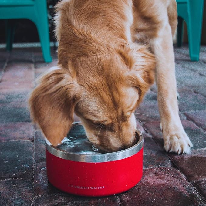 Coldest Dog Bowl - Anti Rust Metal, Non Slip, 3 Layers Insulated Stainless Steel Dog Bowls - Spill Proof & Heavy Duty - Water Bowl for Dogs, Cats & Pets, Dish Washer Safe (21 oz, Sahara Tan)