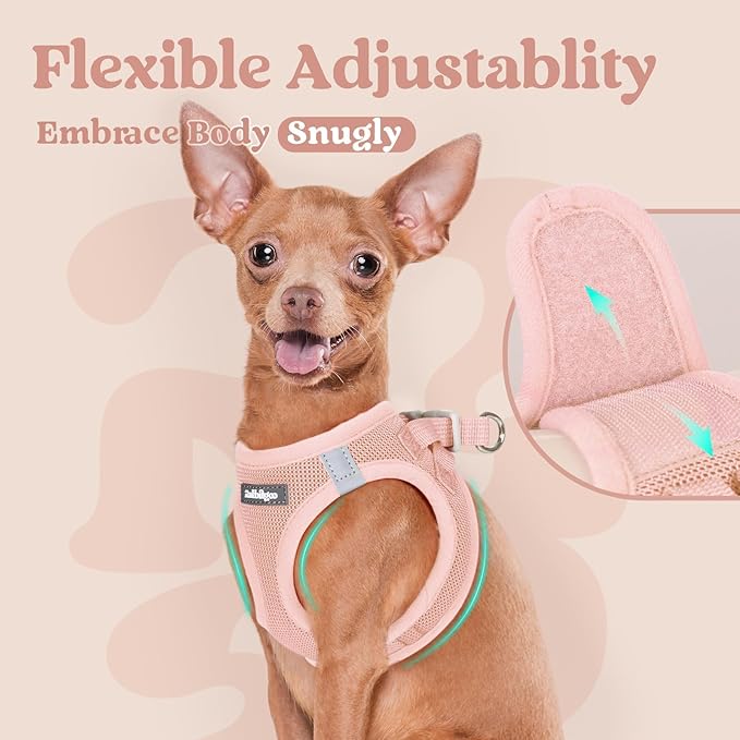 rabbitgoo Small Dog Harness, Step-in Soft Mesh Puppy Vest with Safety Buckle, Breathable Reflective Pet Harness for Small Sized Dogs, Pink S