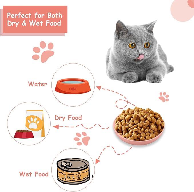 6-Pieces Whisker Fatigue Cat Bowl - 5.5 Inch Shallow Cat Food Dish Wide Cats Wet Feeding Bowls, PET Plate for Kittens and Short Legged Cats (Type-A Normal Bowls)