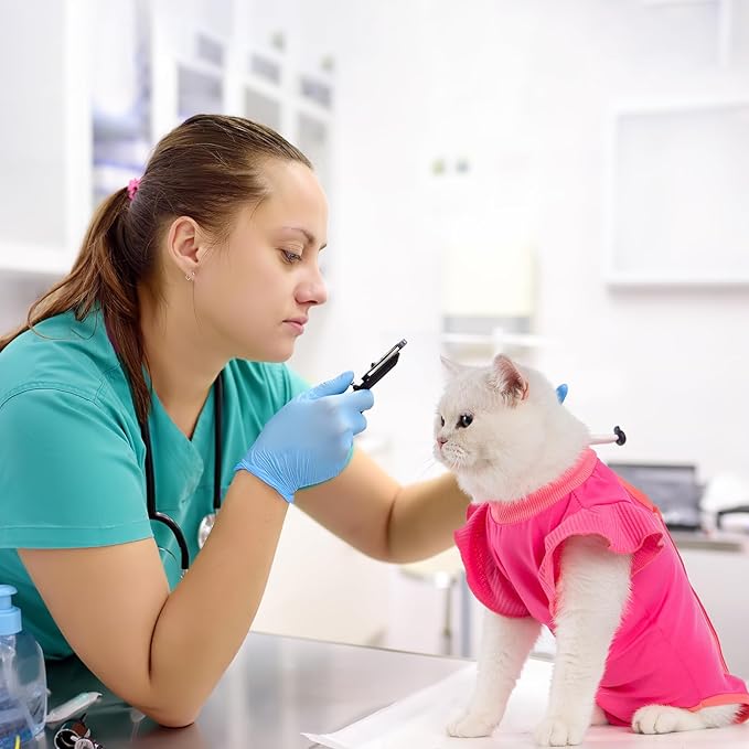 Avont Cat Recovery Suit - Post-Surgery Onesie for Cats, Alternative to Cone of Shame, Protective Spay Suit for Female Kitten, Ideal for Healing and Skin Conditions -Magenta(S)