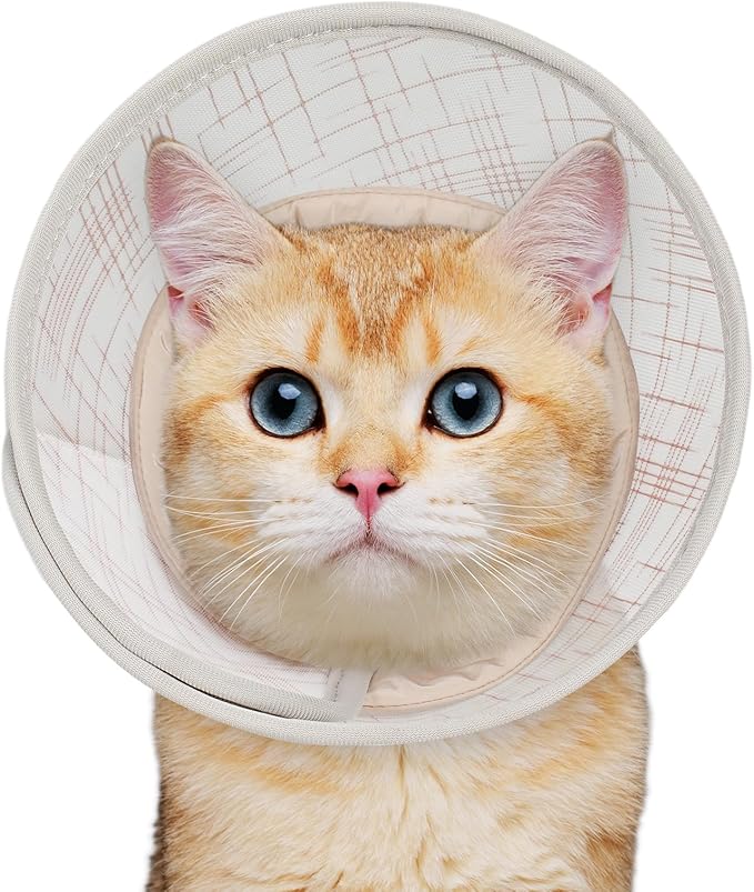Supet Soft Cat Cone Collar to Stop Licking, Breathable Mesh Cone with Waterproof Liner Recovery Collar, for Kitten, Comfortable Elizabethan Alternative for Spay Neuter Grooming (L)