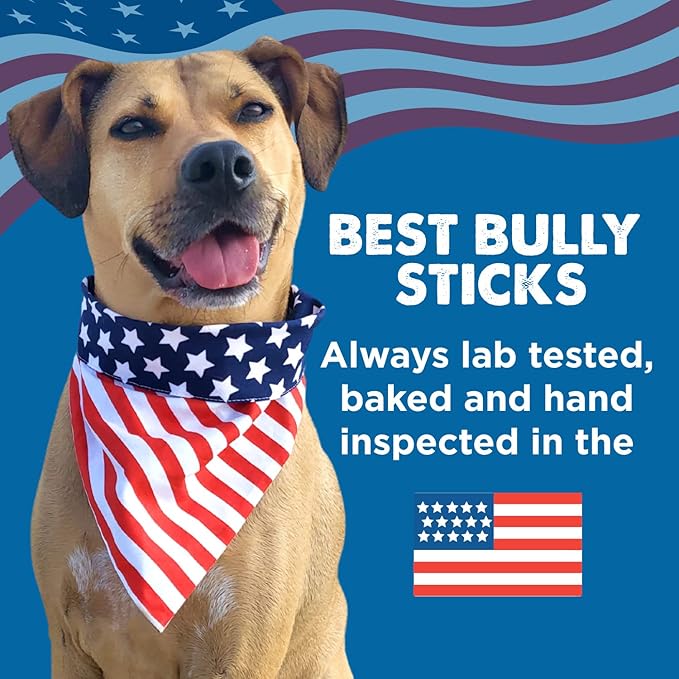 Best Bully Sticks Thick 6 Inch Bully Sticks for Dogs - 10 Count (Pack of 1) - Natural Grass-Fed Beef, Single Ingredient, Grain and Rawhide Free - Large Breeds