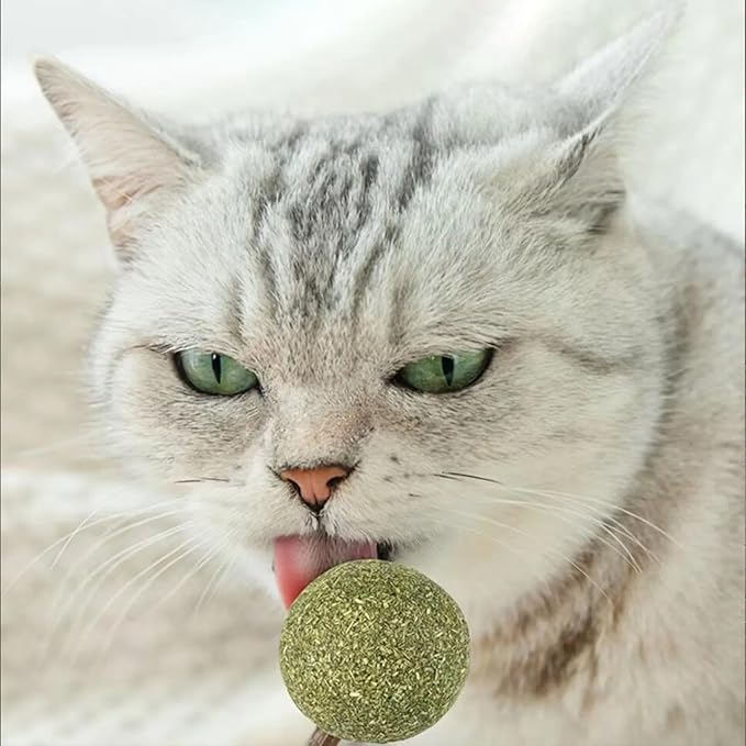 UBIETY Catnip & Silvervine Lollipops,Catnip Balls Silvervine Sticks for Cats,Cat Nip Ball Toy for Indoor Cats,Interactive Cat Toy(6Pcs)