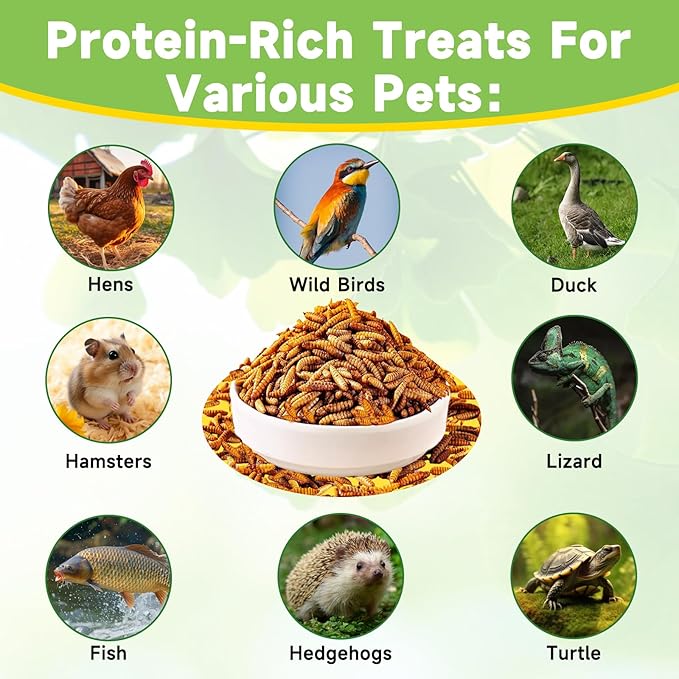 MTART 10LB Dried Black Soldier Fly Larvae Treat for Chicken, 100% Natural Non-GMO More Calcium Than Dried Mealworms High Protein Chicken Feed for Birds, Ducks, Layer Hens