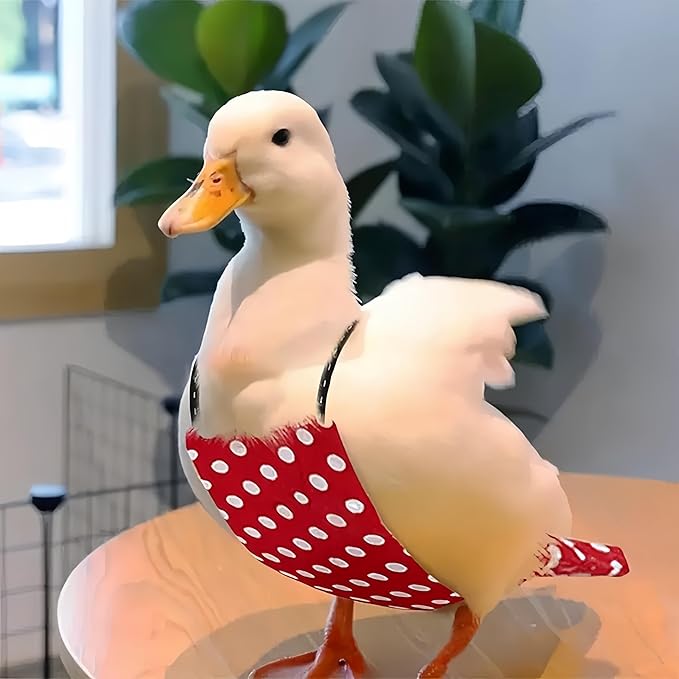 2 Pack Chicken Diapers for Hens, Roosters, Diapers for Ducks, Ducklings, Reusable Pet Diaper with Bow Ties Waterproof Poultry Nappies for Geese Pet Ducks, Red Polka Dots&Banana,S