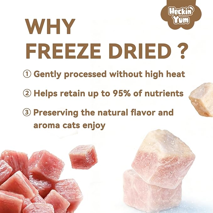 Freeze Dried Cat Treats, Single Ingredient Duck Bites Snacks for Cats & Dogs, Grain-Free High Protein Healthy Training Treats & Food Topper for Cats & Dogs, 1 oz