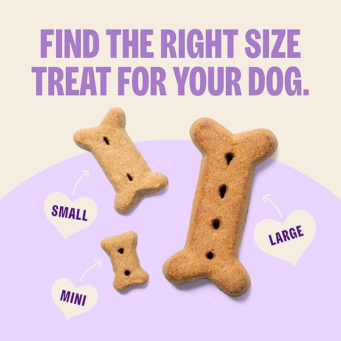 Wellness Old Mother Hubbard Classic Bac'N'Cheez Dog Biscuits, Natural Training Treats, Bacon and Cheese Flavor, Small Size, 20 oz Bag