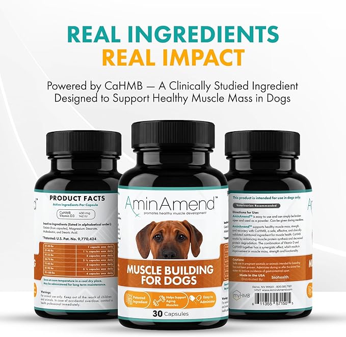 Muscle Support Dog Supplements for Large Breed (21lbs+) with CaHMB & Vitamin D3 – Supports Strength, Mobility & Daily Activity for All Ages & Senior Dog – (30 Capsules)