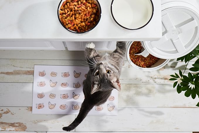 Pearhead Ceramic Cat Bowl – Cute Cat Face Water & Food Dish, Wide Shallow Whisker-Friendly Design for Kittens & Small/Medium Cats, Heavy Non-Slip Pet Feeding Bowl 2-Cup (Pack of 2)