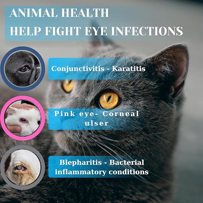 Pet Eye Cream Health for Dogs, Cats, Cattle, Sheep, Horse, Bird 1/8 oz / 5 gr, 1 Tube Gentle Daily Eye Care, Easy Topical Application