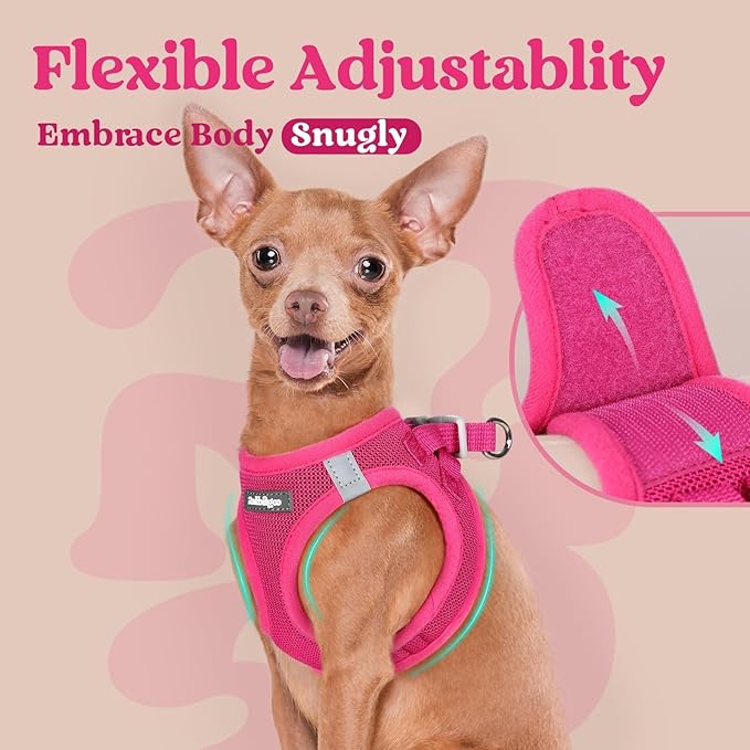 rabbitgoo Small Dog Harness, Step-in Soft Mesh Puppy Vest with Safety Buckle, Breathable Reflective Pet Harness for Small Medium Dogs, Rose Red L