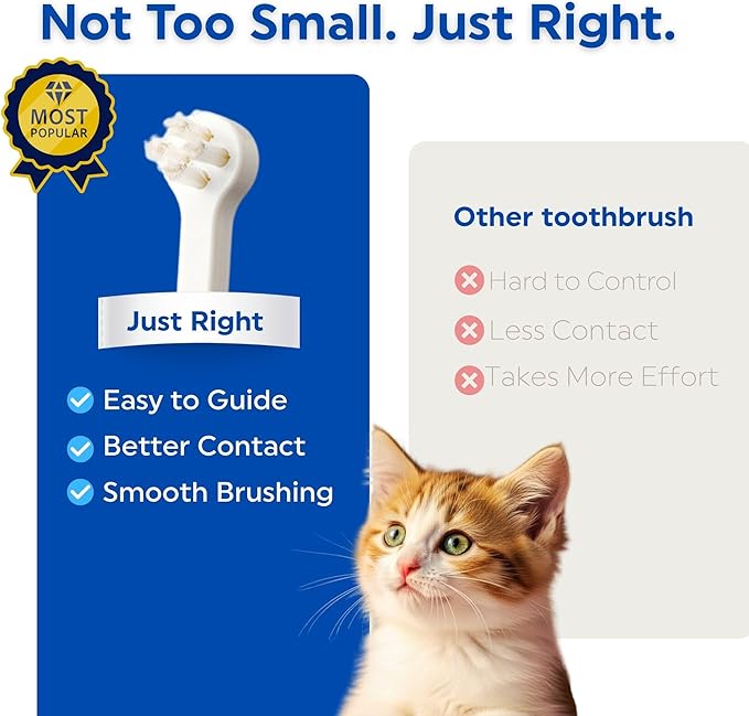 MIND UP Cat Toothbrush with Micro Head, 15° Angled Design for Easier Reach, Pet Toothbrush for Cats & Kittens, Gentle Everyday Brushing, Made in Japan, 3EA