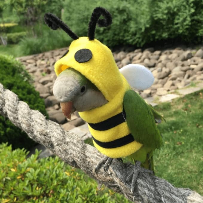 Bird Costume Diaper Flight Suit Bee Shape Hoodie Clothes Cosplay Photo Prop for Parrots Parakeet Cockatiel Sun Conure, Small Animals Apparel (Bee Without Diaper, Large), Green (BPF1)