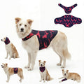 DAJIDALI® Dog & Cat Anxiety Vest & Spay Recovery Suit – Silent Calming Wrap for Surgery, Thunderstorms – Breathable Cone Alternative