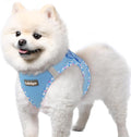 rabbitgoo Small Dog Harness, Step-in Soft Mesh Puppy Vest with Safety Buckle, Breathable Reflective Pet Harness for Small Sized Dogs, Blue & Plaid Trim S