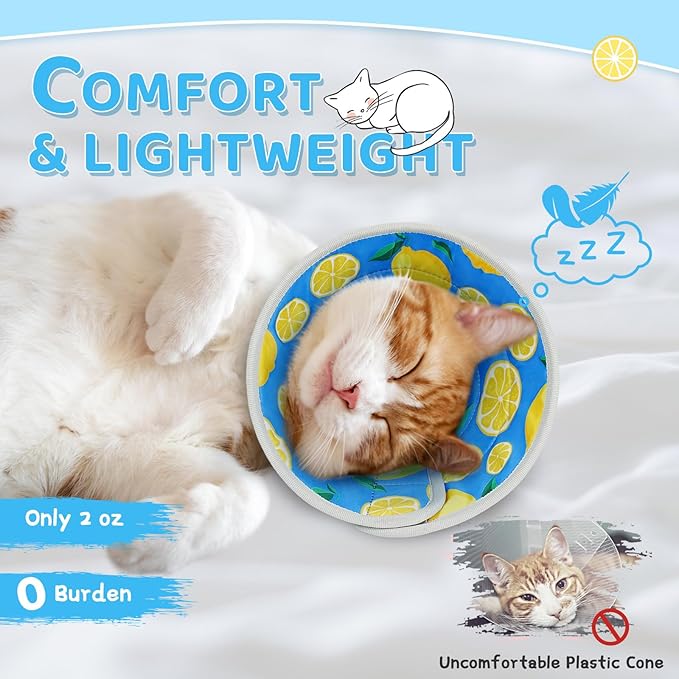 Cat Cone Collar Soft to Stop Licking, Adjustable, Foldable Lightweight Kitten Cone After Surgery Recovery for Cats & Kittens, EVA Material, Royal Blue, S