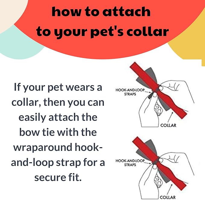 Huxley & Kent Pet Bow Tie for Dogs & Cats - Adjustable Hook & Loop Collar Accessory - Cute & Comfortable for Holidays & Celebrations - Cookie Monster, Extra-Large
