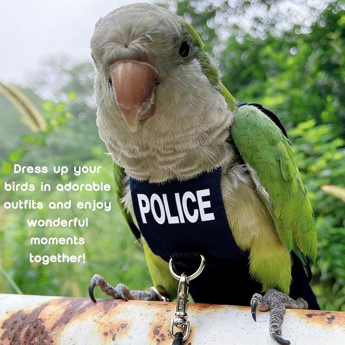 Bird Diaper Flight Suit, Cute Cosplay Parrot Clothes, Easy-to-Wear Washable Nappy, Durable Metal Ring Harness for Cockatiel, Conure, African Grey, Parakeet Outdoor Flying (with Leash,2M)