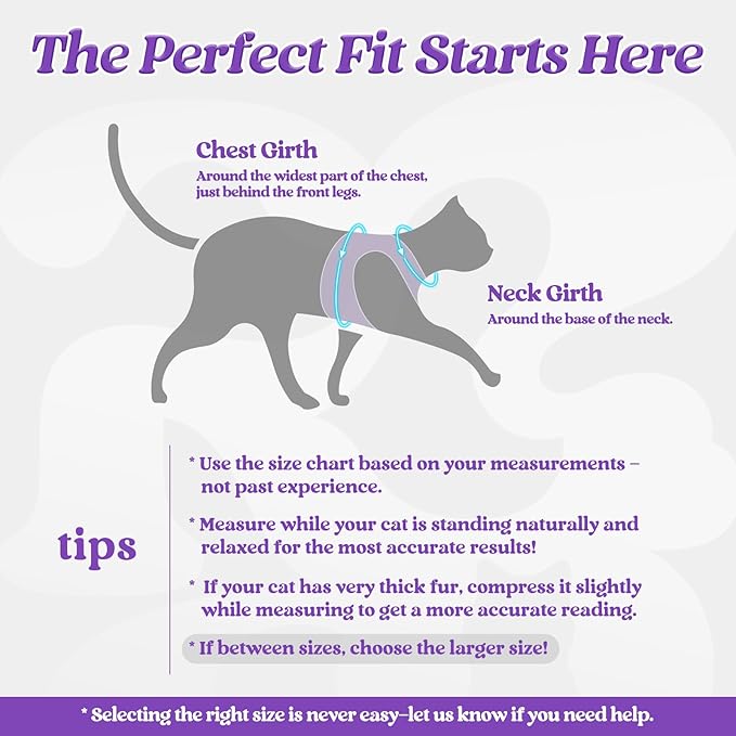 rabbitgoo Cat Harness and Leash Set for Walking Escape Proof, Adjustable Soft Kittens Vest with Reflective Strip for Cats, Comfortable Outdoor Vest, Purple, M