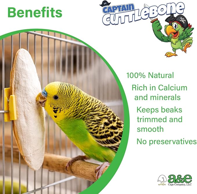 A&E Cage Company Captain Cuttlebone 5" Natural Cuttlebone for Birds – Single Blister Pack Calcium Supplement – Beak Conditioning Mineral for Parakeets, Budgies, Finches, Canaries & Lovebirds