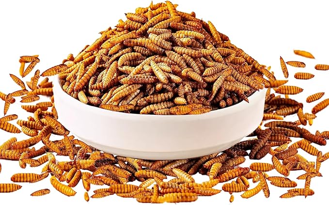 MTART 10LB Dried Black Soldier Fly Larvae Treat for Chicken, 100% Natural Non-GMO More Calcium Than Dried Mealworms High Protein Chicken Feed for Birds, Ducks, Layer Hens