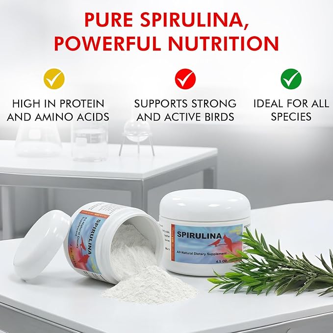 Morning Bird Spirulina 4.5 oz – Organic Superfood Supplement for Birds – Rich in Vitamins, Protein & Amino Acids – Ideal for Parakeets, Cockatiels, Budgies, Finches, Canaries & Parrots