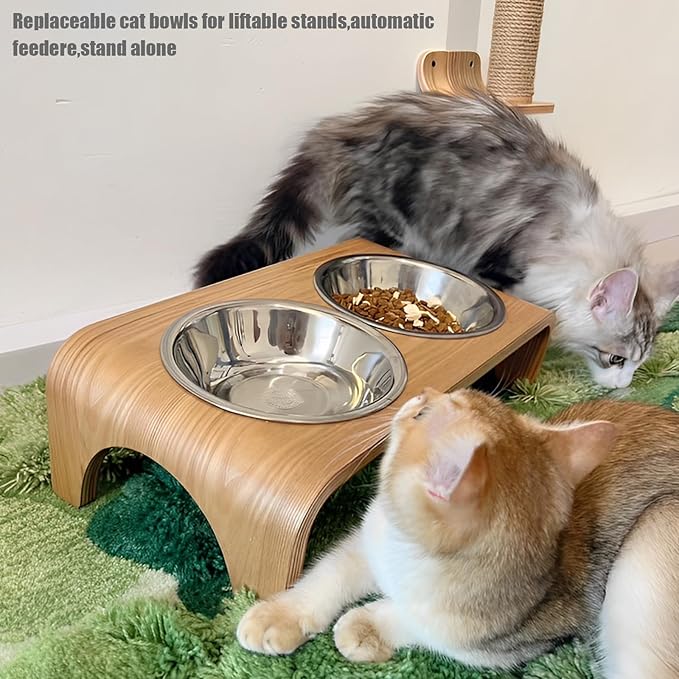 4 Pcs Stainless Steel Cat Bowls, 5.5 Inch Whisker Friendly Shallow Cat Food Bowls, Small Metal Pet Dish for Kittens and Indoor Cats, Basic Replacement Plates for Elevated Feeder Stands,Dishwasher Safe