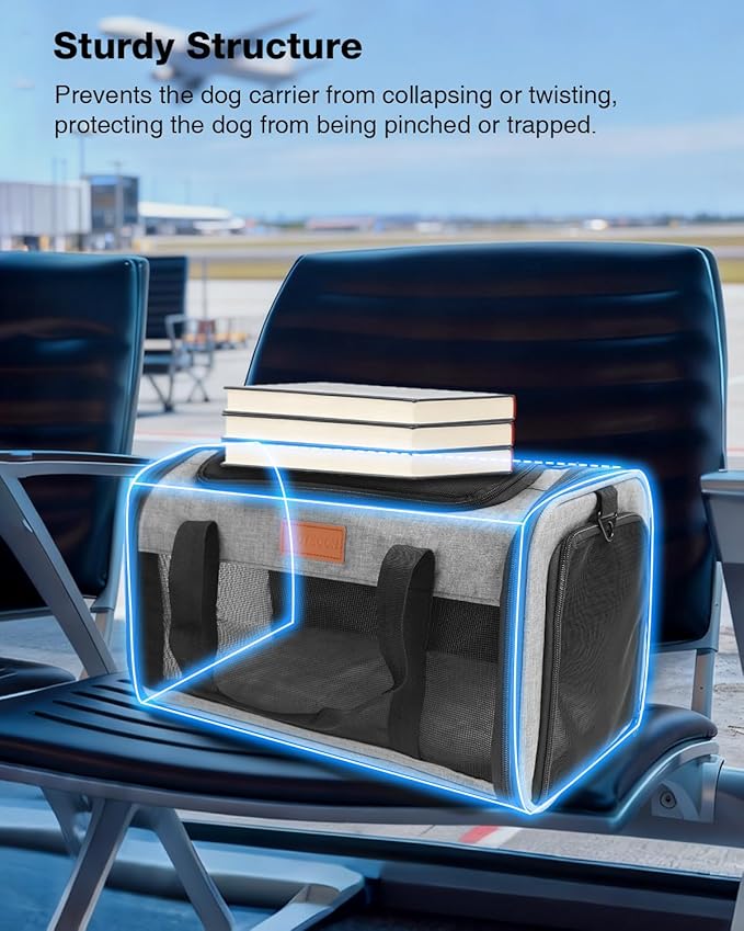 Pet Carrier Airline Approved 17x11x9.5 in - Underseat, Top & Side Entry Soft Dog Cat Travel Carrier with Safety Zippers ＆ Anti-Scratch Mesh for Small Cat and Dog for Pets Up to 10 Lb - Grey