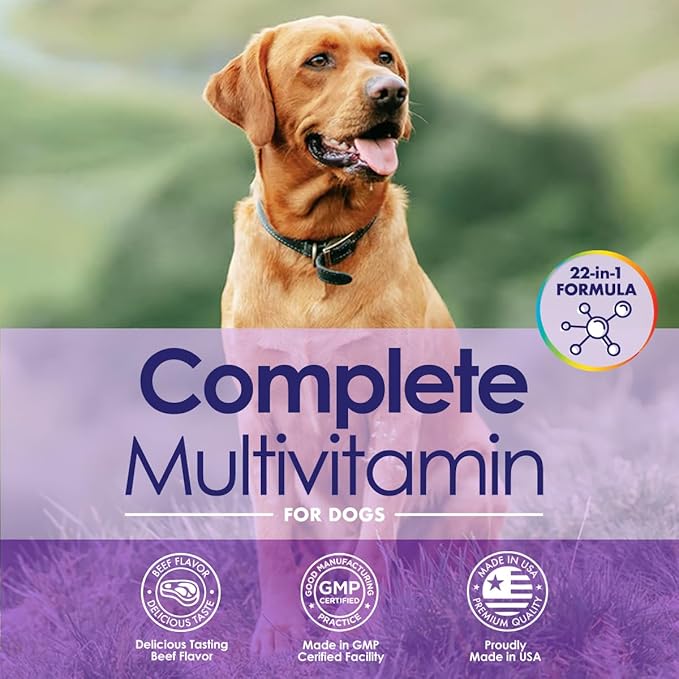 Dog Multivitamin Chewable - 22 in 1 Dog Vitamins and Supplements with Green Lipped Mussel & Omega 3 for Joints, Skin & Coat, Immune System - Senior & Puppy Multivitamin for Dogs - 60 Beef Chews