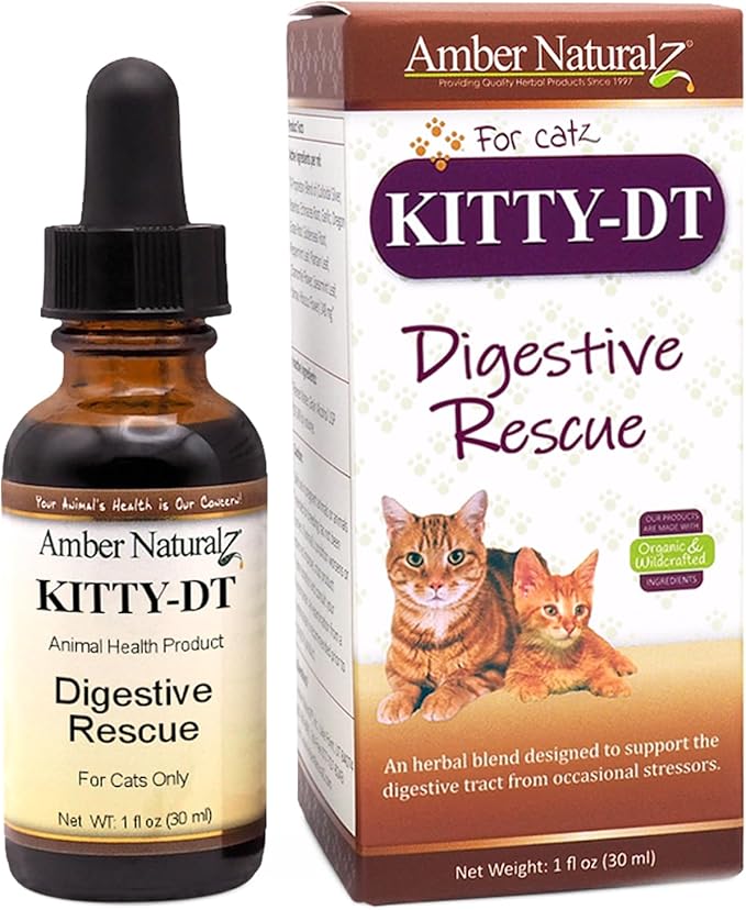 Amber NaturalZ Kitty-DT Digestive Rescue Herbal Supplement for Cats | Supports Normal Digestive Function and Occasional Gastric Upsets | Natural Aid for Gastrointestinal Health 1 Fluid Ounce