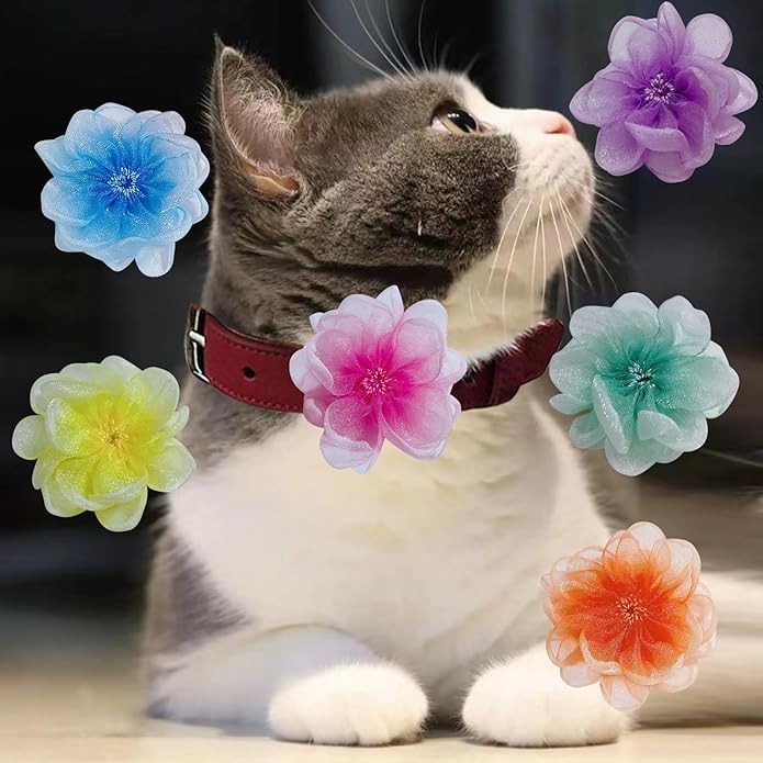 6Pcs Dog Collar Accessories, Floral Charms Decorations for Dogs and Cats