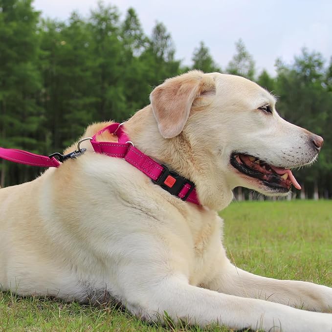 Joytale Martingale Collar for Dogs, Reflective Heavy Duty for Safety, Quick Release Buckle, Adjustable Nylon Collars for Medium Dogs Walking Training, Hotpink,M