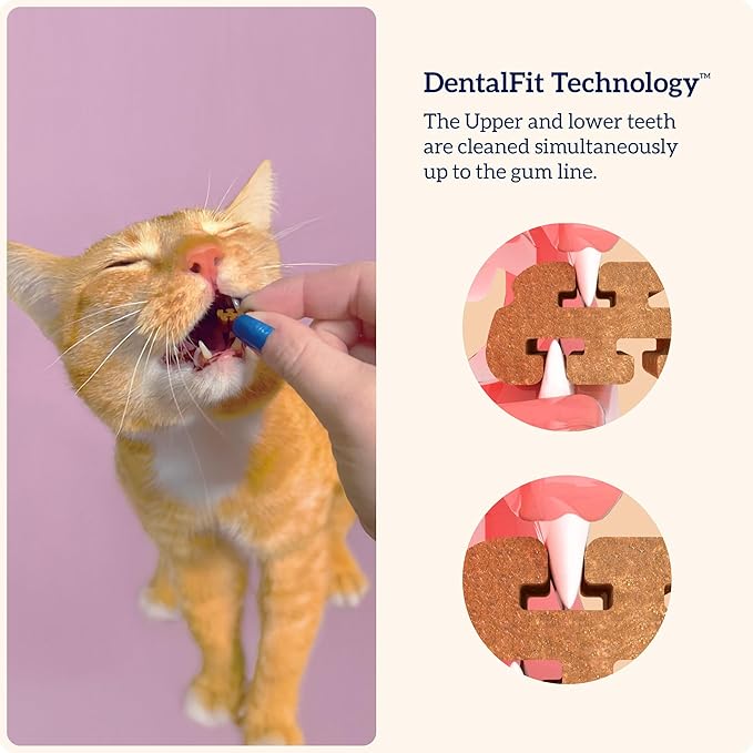 Groovies Cat Daily Dental Treats. Tasty, Crunchy Bites Cats Love. Powered by USA-Patented DentalFit Tech. No Gluten or Artificial Flavors or Colors. 1.76oz Each bag - (2 pack) of (1)Chicken & (1)Tuna