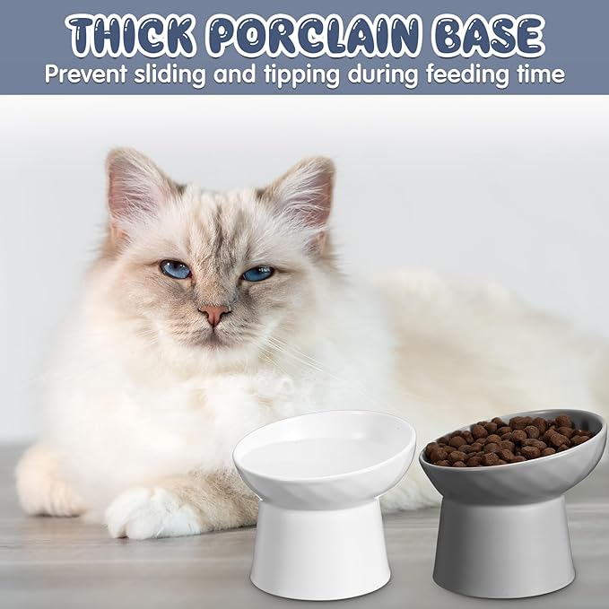 Tanlade 4 Pcs Ceramic Raised Cat Bowls, Elevated Tilted Cat Bowl for Food Water, Stress Free, Backflow Prevention, Dishwasher Microwave Safe, Feeder Dish for Indoor Kitten, Small Dogs(White and Grey)